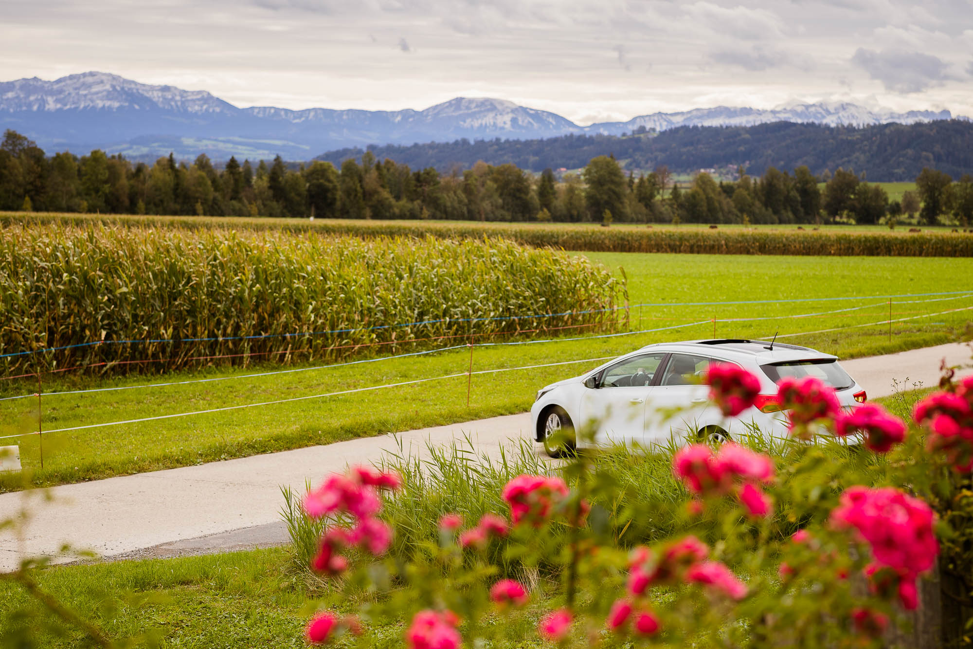Export x3 1DX28095 Hochzeit 2020 Claudia & Thomas